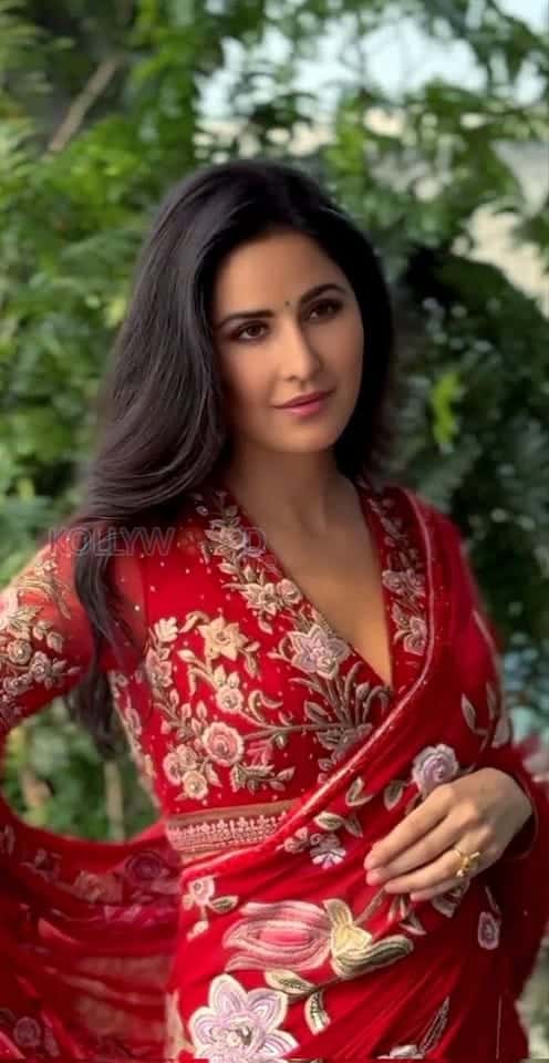 Beautiful Katrina Kaif in a Red Floral Saree Pictures 03