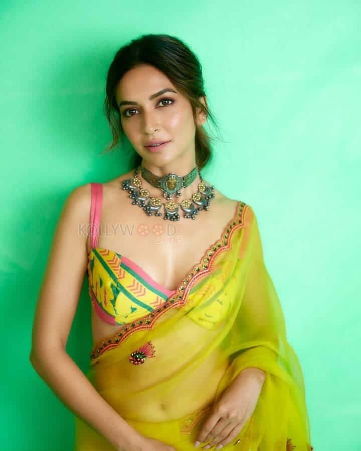 Beautiful Kriti Kharbanda in a Sexy Transparent Saree Photos 06