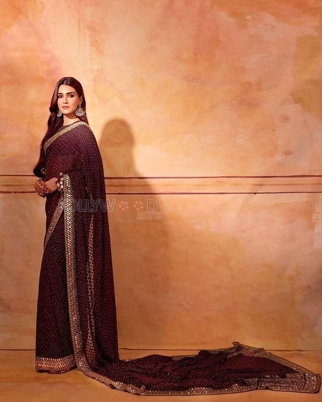 Beautiful Kriti Sanon in a Chocolate Brown Saree Photos 01