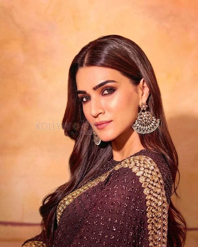 Beautiful Kriti Sanon in a Chocolate Brown Saree Photos 02