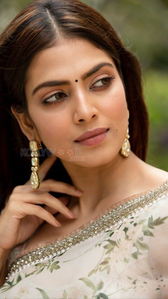 Beautiful Malavika Mohanan Saree Pictures