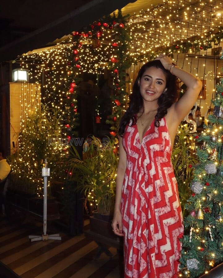 Beautiful Malvika Sharma Christmas Photos 04