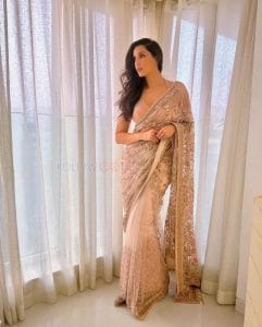 Beautiful Nora Fatehi In A Nude Saree Pictures 01 (300355) | Kollywood Zone
