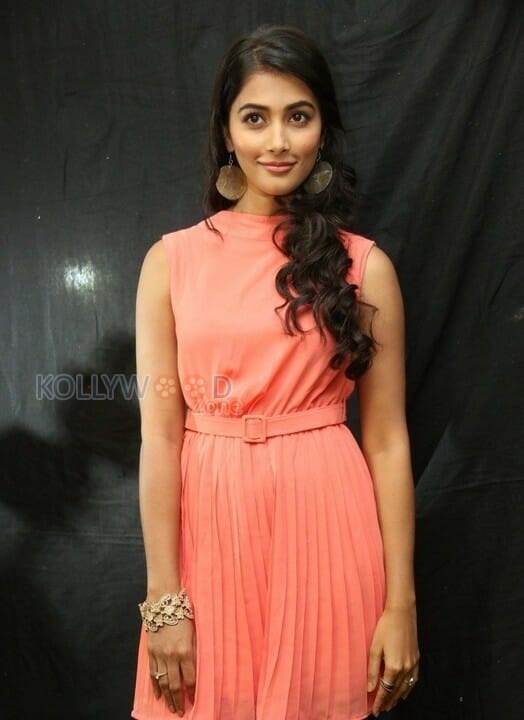 Beautiful Pooja Hegde Pictures