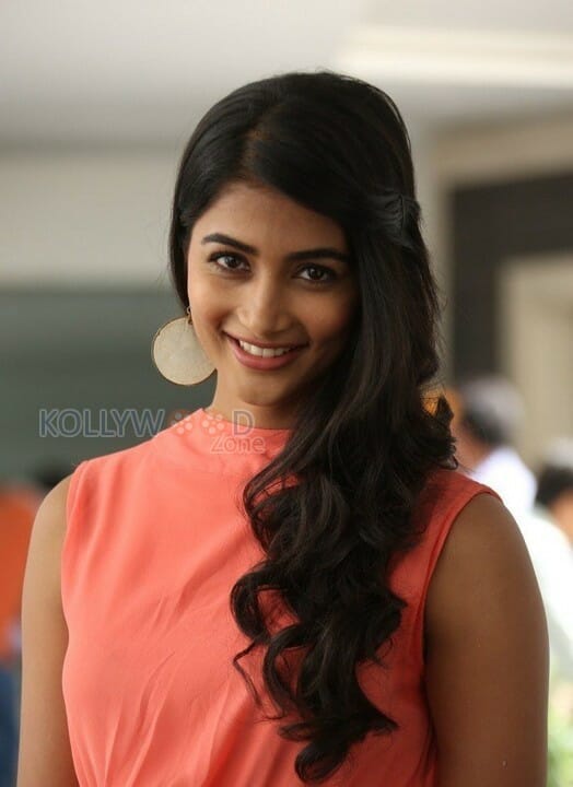 Beautiful Pooja Hegde Pictures