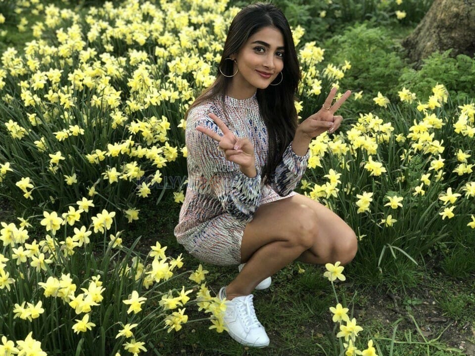 Beautiful Pooja Hegde Unseen Pictures