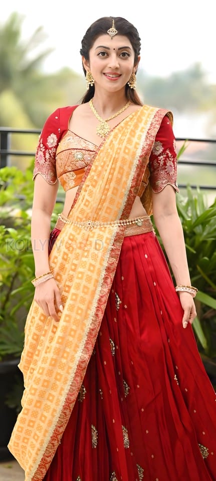 Beautiful Pranitha Subhash in a Traditional Saree Pictures 01