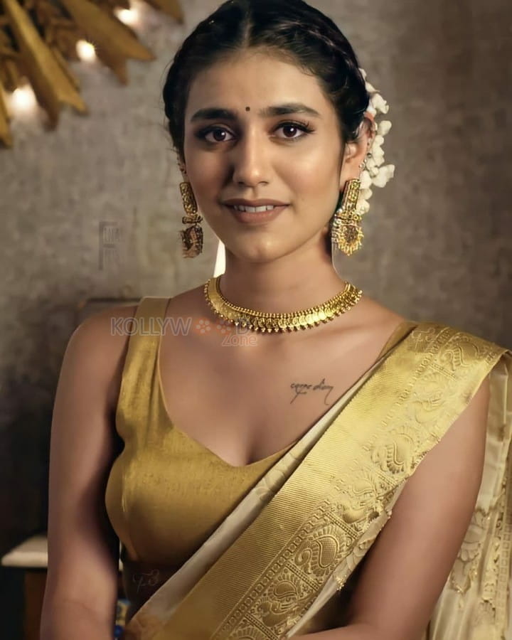 Beautiful Priya Prakash Varrier Saree Pictures