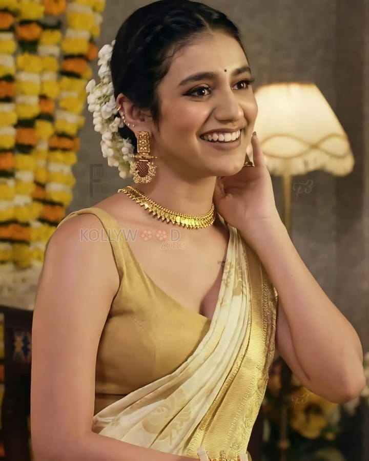 Beautiful Priya Prakash Varrier Saree Pictures