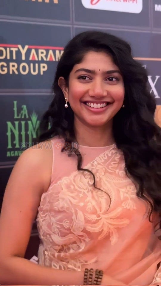 Beautiful Sai Pallavi at SIIMA 2025 Photos 01