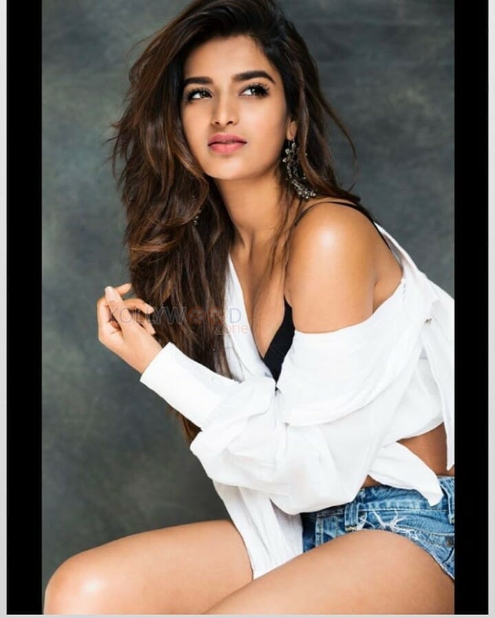 Beautiful Sexy Actress Nidhi Agarwal Photos