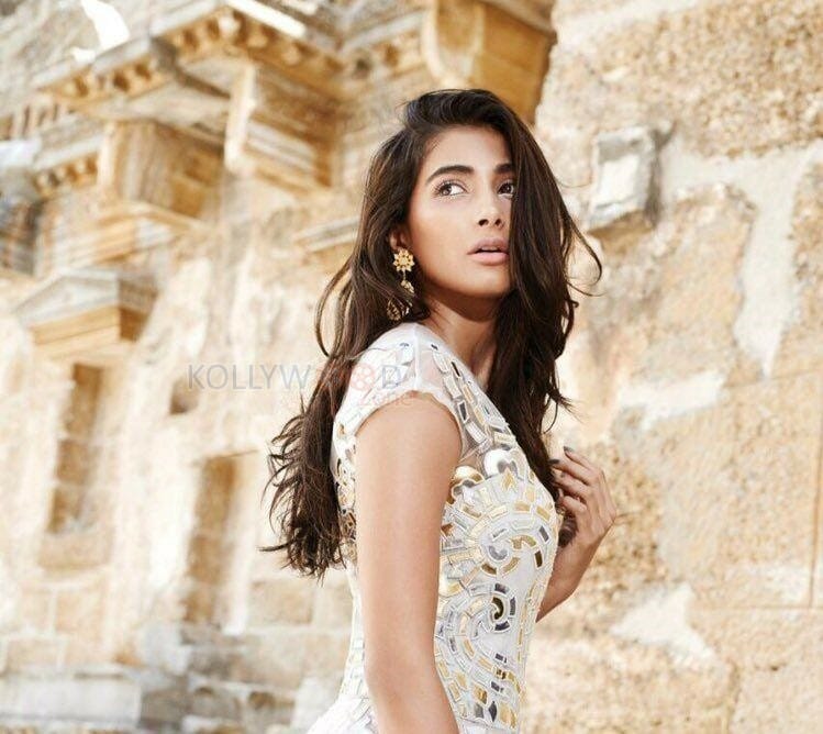 Beautiful Sexy Actress Pooja Hegde Photos