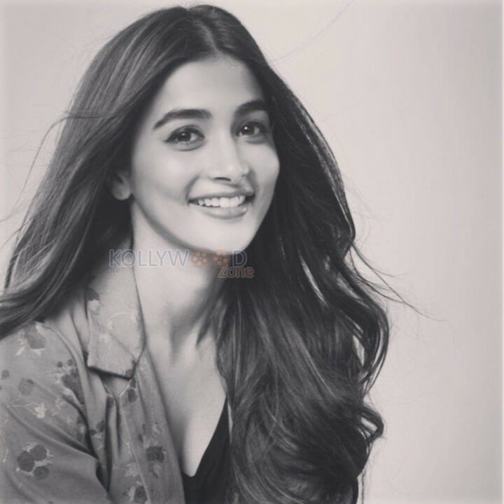 Beautiful Sexy Actress Pooja Hegde Photos