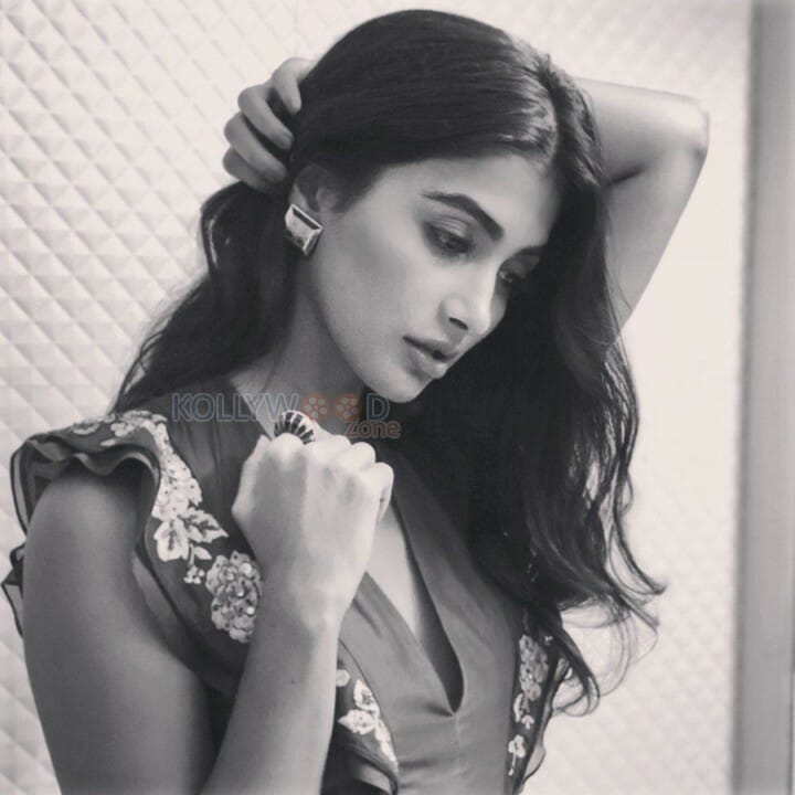 Beautiful Sexy Actress Pooja Hegde Photos