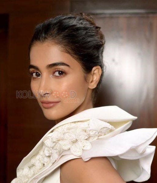 Beautiful Sexy Actress Pooja Hegde Photos