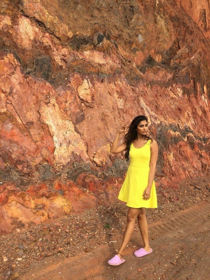 Beautiful Sexy Actress Pooja Hegde Photos