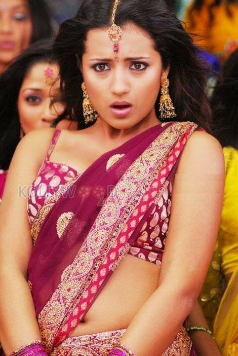 Beautiful Sexy Trisha Pictures