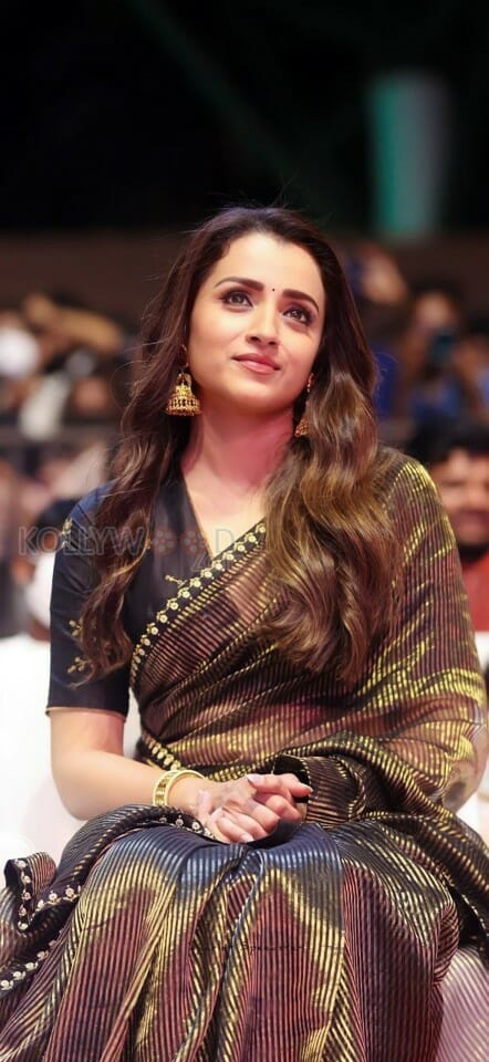 Beautiful Trisha Krishnan in a Brown Saree Photo 01