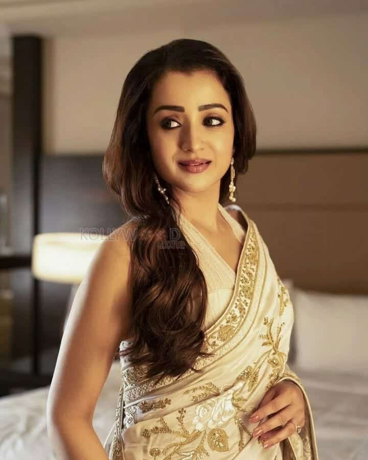 Beautiful and Classy Trisha Krishnan Photo 01