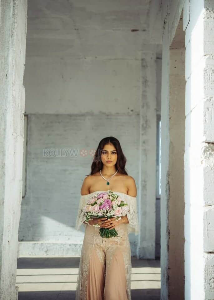 Beautiful and Sexy Actress Malavika Mohanan Spicy Photos 25