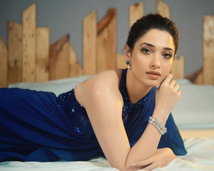 Beautiful and Sexy South Indian Actress Tamanna Bhatia Photos 02