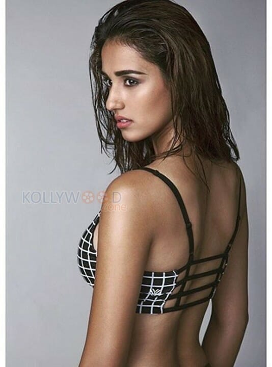 Bollywood Actress Disha Patani Hot Photos
