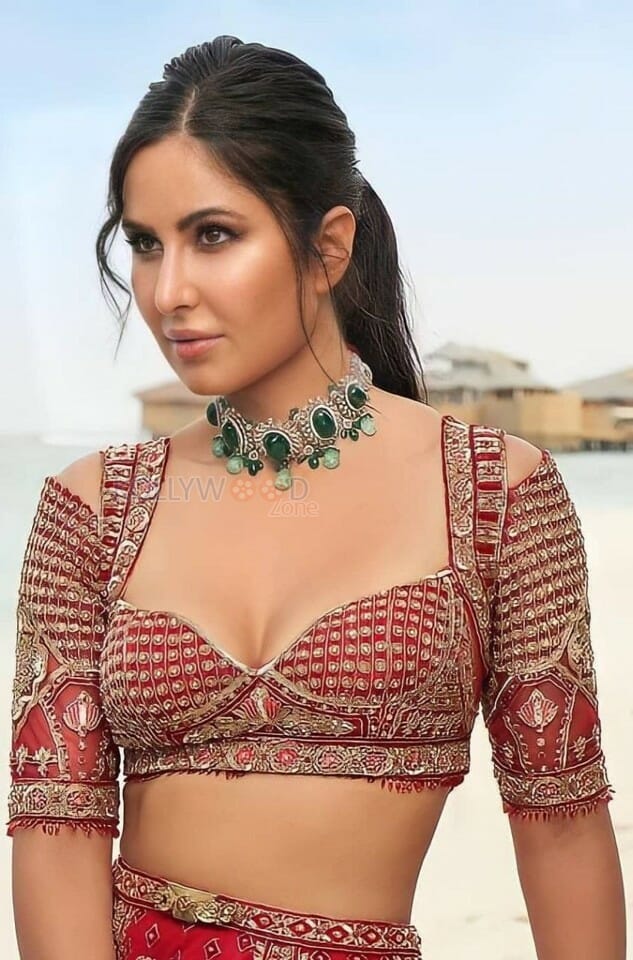 Bollywood Babe Katrina Kaif Sexy Cleavage Photos