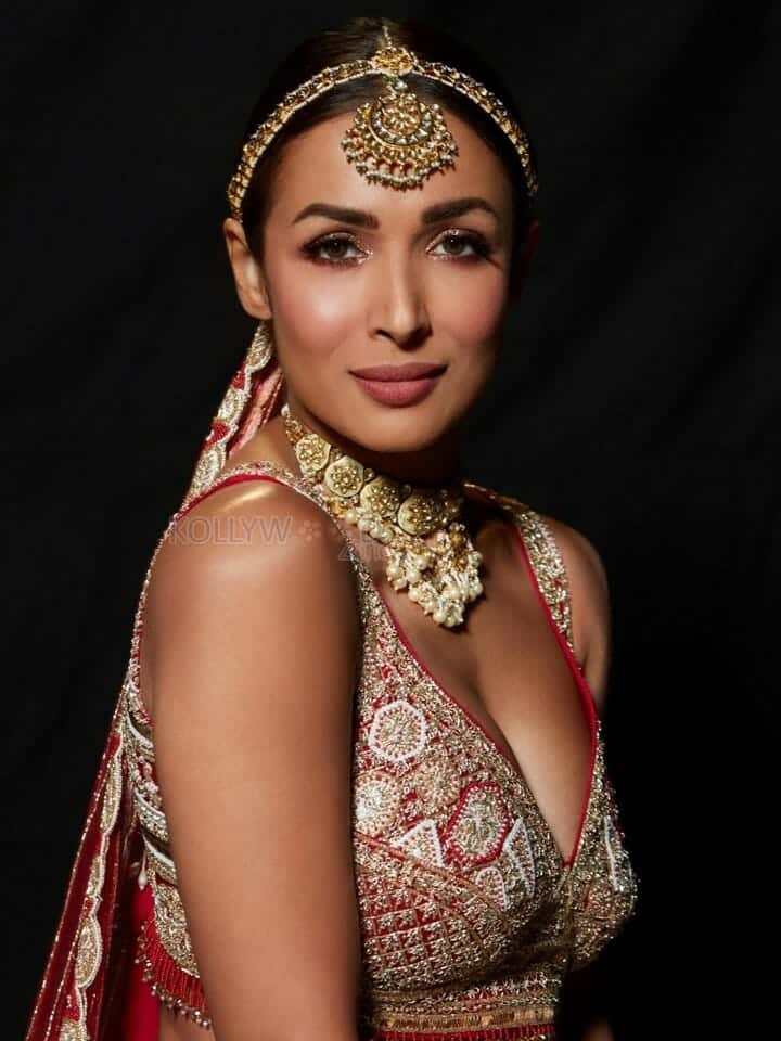 Bollywood Hot MILF Malaika Arora Sexy Photos 06