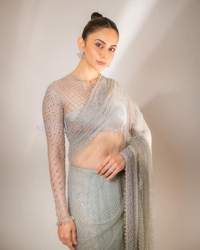 Captivating Actress Rakul Preet Singh in a Sensuous Saree Pictures 01