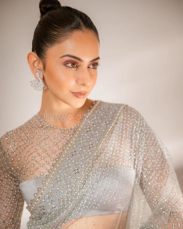 Captivating Actress Rakul Preet Singh in a Sensuous Saree Pictures 06