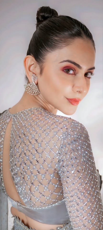 Charming Rakul Preet Singh in a Sheer Saree Pictures 04