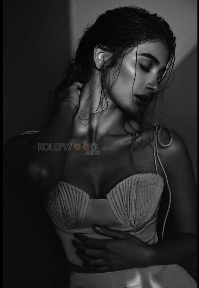 Cirkus Movie Heroine Pooja Hegde Spicy Photos