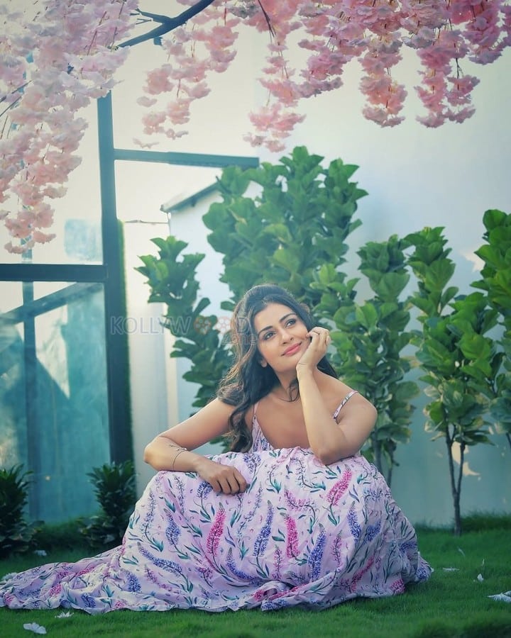 Cute Payal Rajput in a Floral Pink and Lavender Corset Style Dress Photos 01