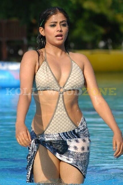 Cute Priyamani Sexy Pictures