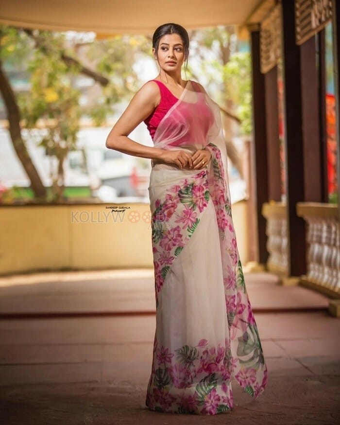 Cyanide Movie Heroine Priyamani Sexy Saree Photos
