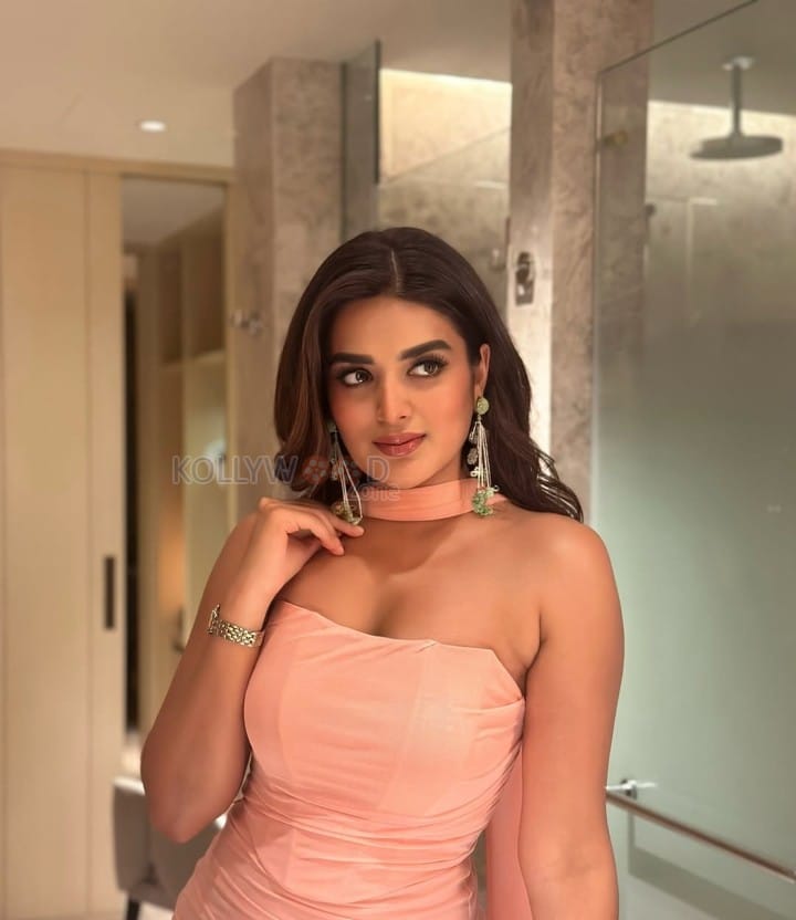 Dazzling Nidhhi Agerwal in an Off Shoulder Pink Bodycon Pictures 05