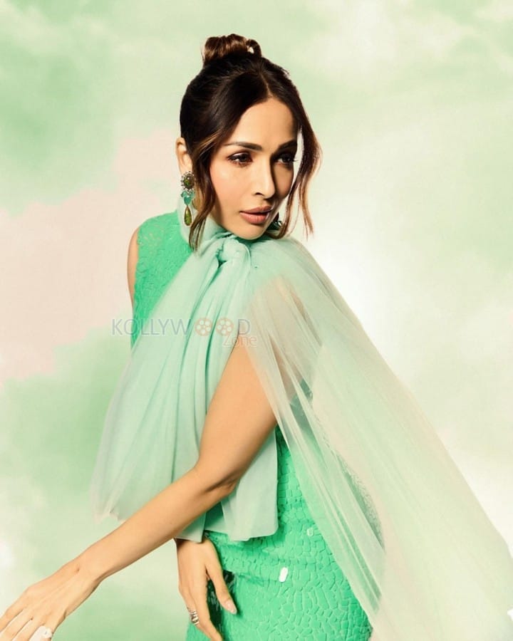Diva Malaika Arora in a Vibrant Green Gown Pictures 02