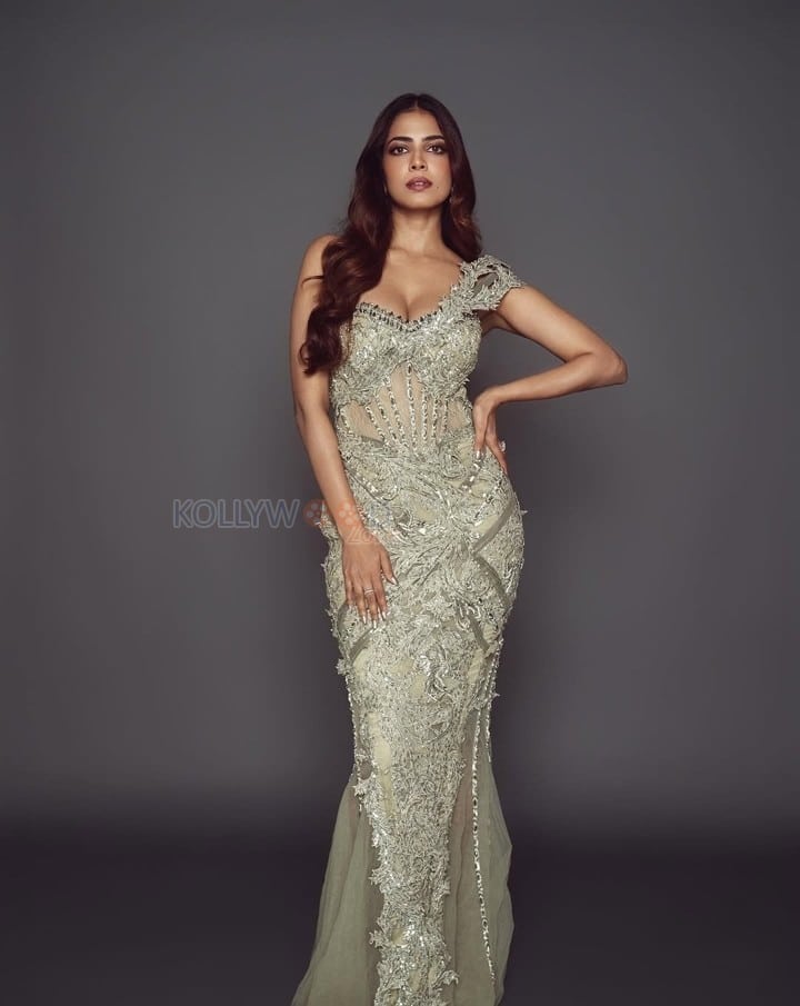 Divine Beauty Malavika Mohanan in a Silver Sequin Gown Pictures 01