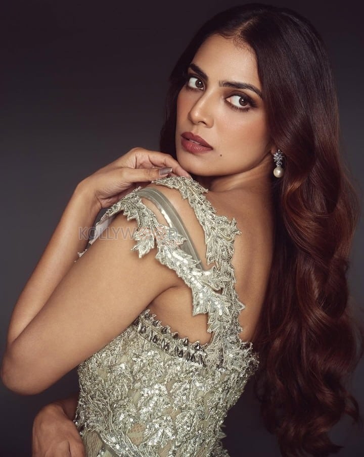 Divine Beauty Malavika Mohanan in a Silver Sequin Gown Pictures 02