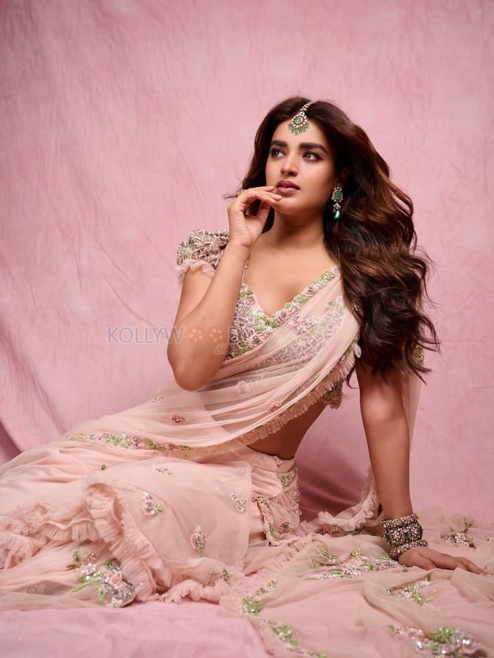 Dream Heroine Nidhhi Agerwal in a Soft Pink Saree Photos 01