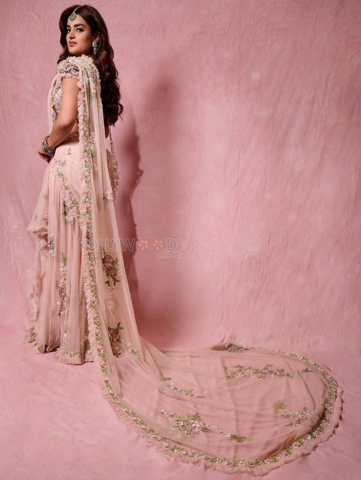 Dream Heroine Nidhhi Agerwal in a Soft Pink Saree Photos 02