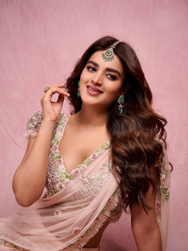 Dream Heroine Nidhhi Agerwal in a Soft Pink Saree Photos 03