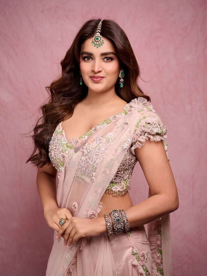Dream Heroine Nidhhi Agerwal in a Soft Pink Saree Photos 04