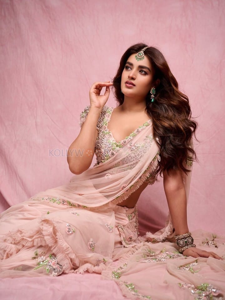 Dream Heroine Nidhhi Agerwal in a Soft Pink Saree Photos 05