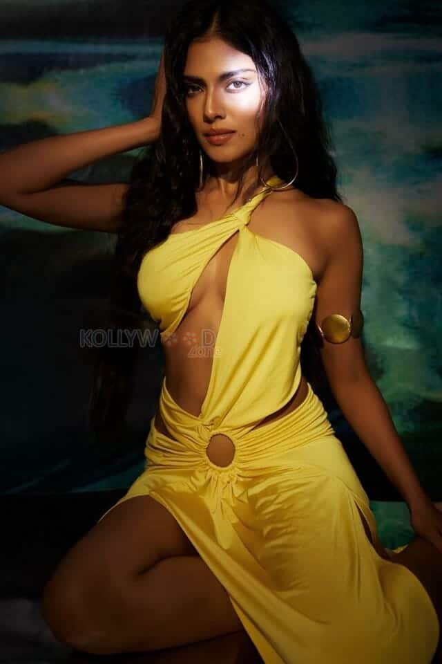 Dusky Actress Malavika Mohanan Hot Photoshoot Stills 03