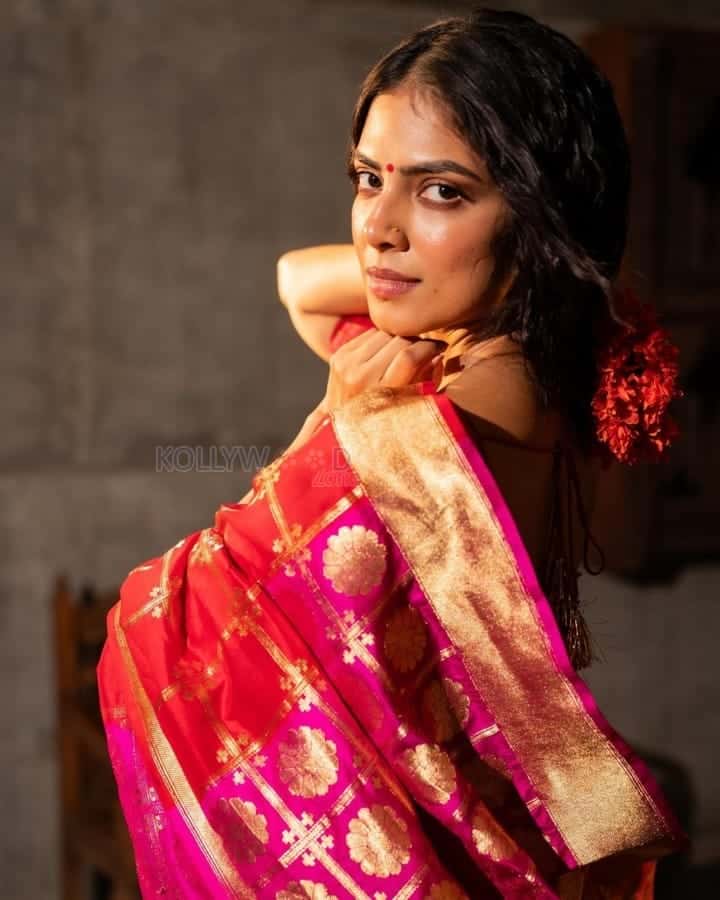 Dusky Sexy Beauty Malavika Mohanan in a Red Silk Saree Pictures 03