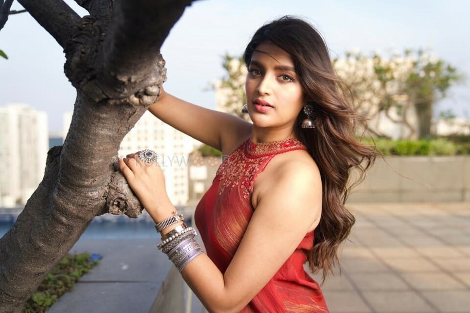 Eeswaran Movie Actress Nidhhi Agerwal Photos