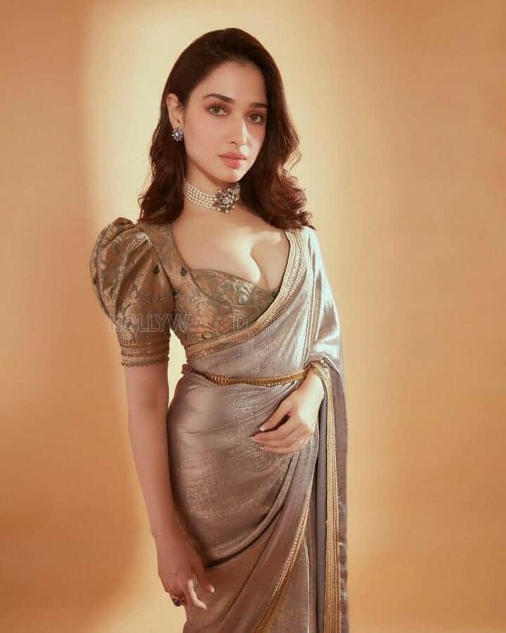 Elegant Tamannaah Bhatia Sexy Photos 02