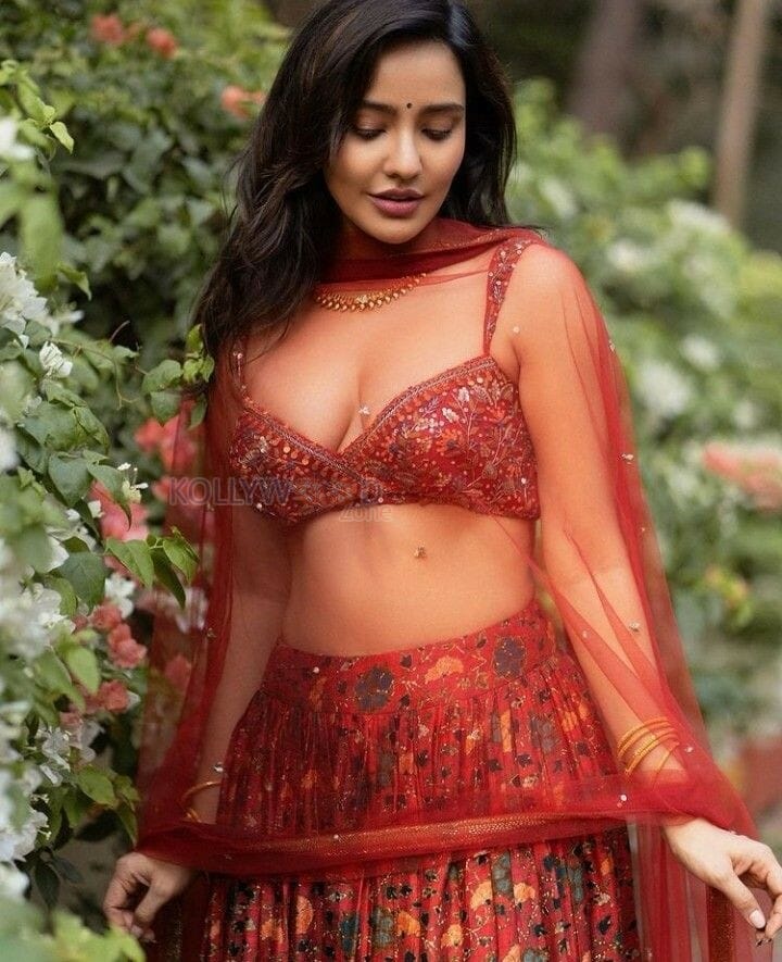 Enchanting Neha Sharma in Red Lehenga Photos 01