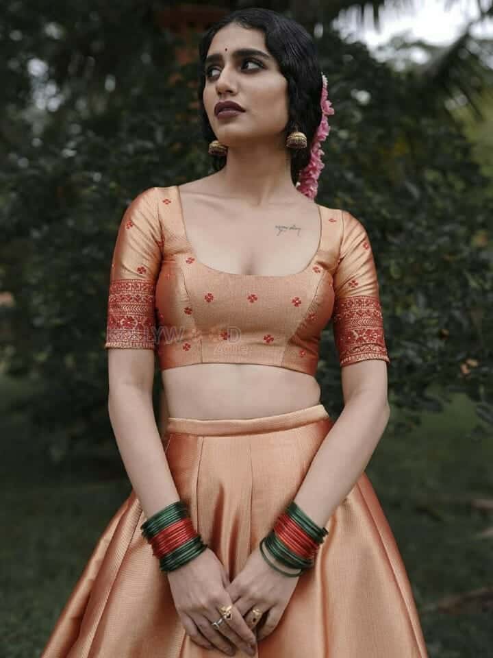 Exquisite Priya Prakash Varrier in an Ethnic Wear Photos 01